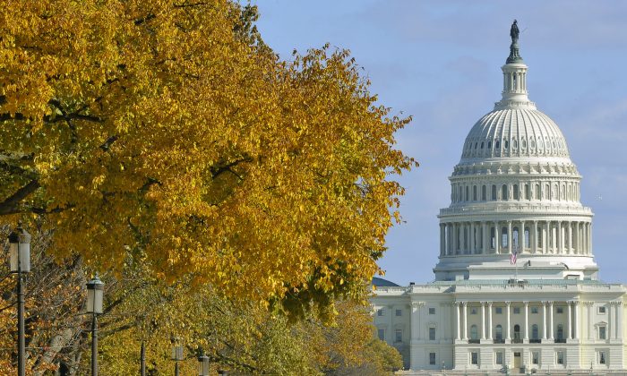 The US Congress in Washington, DC, on Nov. 6, 2011. (Mladen Antonov/AFP/Getty Images)