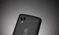 We May Finally Know the Names of Both New Google Nexus Phones
