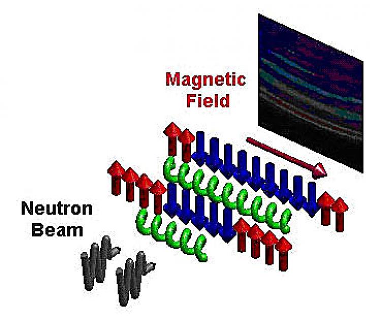 PICTURING THE GOLDEN RATIO: Scientists fired neutrons at cobalt niobate molecules, finding resonant notes with the golden ratio. (Tennant/HZB) PICTURING THE GOLDEN RATIO: Scientists fired neutrons at cobalt niobate molecules, finding resonant notes with the golden ratio. (Tennant/HZB)
