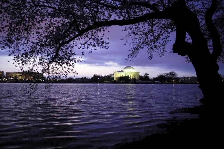 The National Cherry Blossom Festival Underway in underway in Washington, D.C. (The Epoch Times)