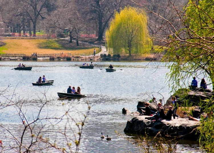 20120319Central Park in March_ChasteenBen+Spring+Standalone-2 People enjoy warm weather in March by taking a relaxing rowboat ride on the lake in Central Park. (Ben Chasteen/The Epoch Times)