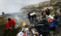 ‘Paleo’ Diet Works If You Have Inuit Genes