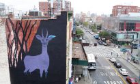 NYC Street Art Makes Statement for Human Rights in Iran