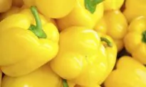 8 Foods That Beat a Multivitamin