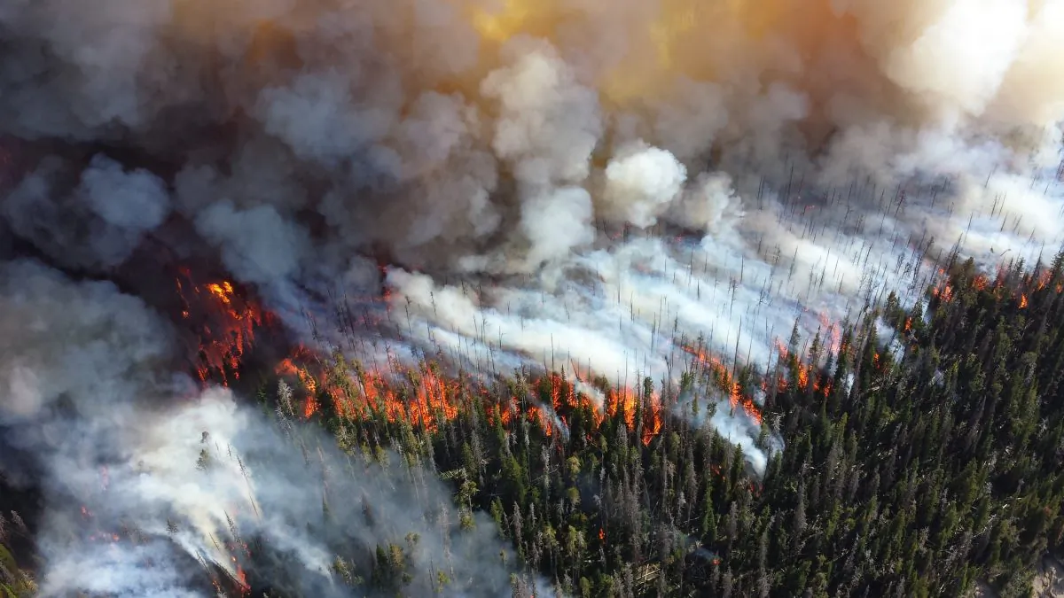 Wildfires, raging and costly. (U.S. National Parks Service, CC BY 2.0)