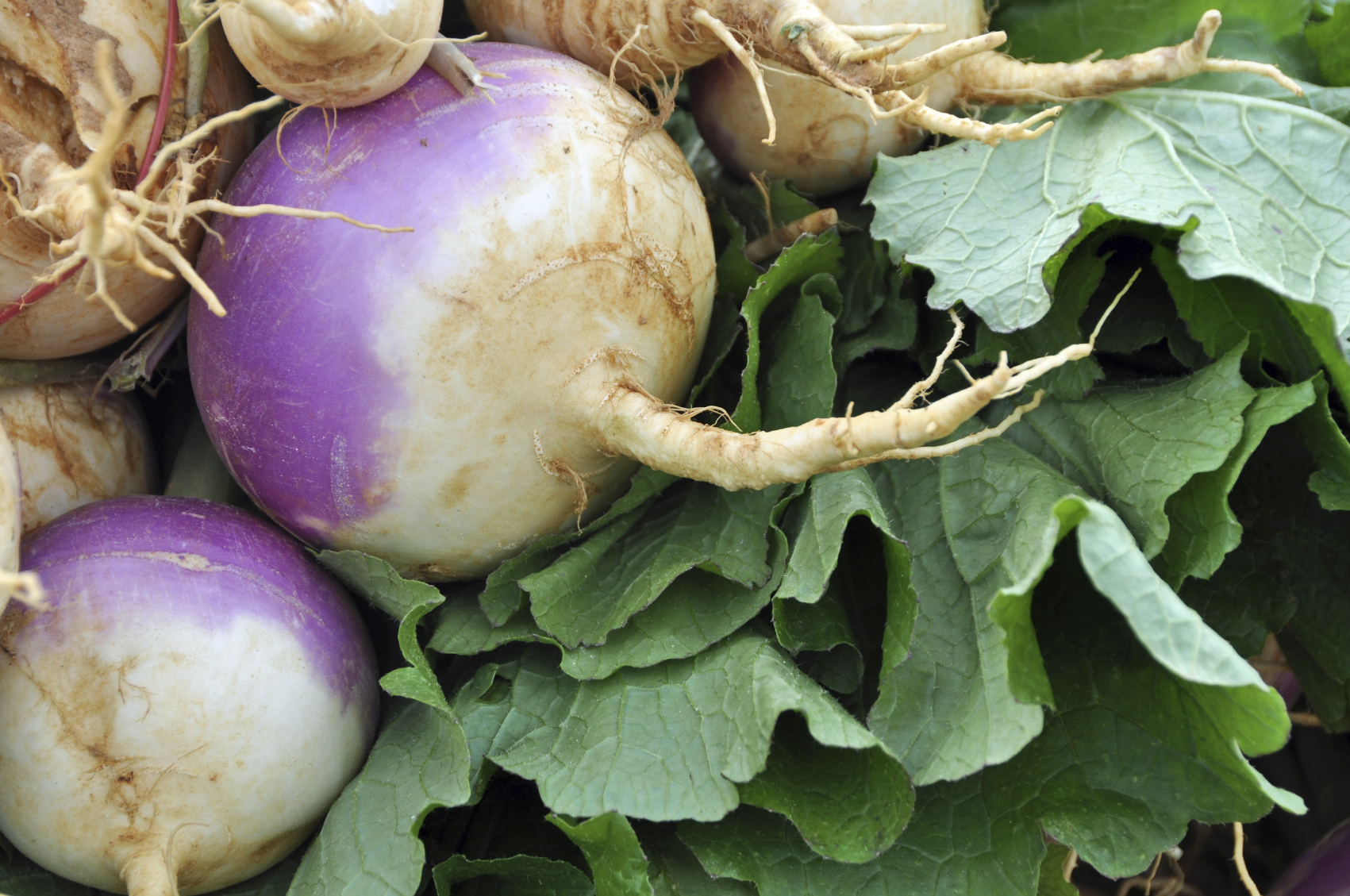 Turnip greens are an excellent source of vitamin C, vitamin E, beta-caroten...