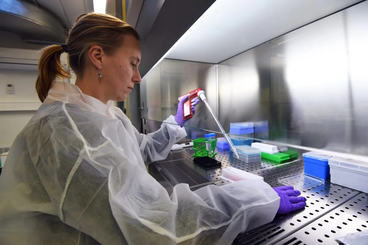 TO GO WITH AFP STORY BY THIBAULT LE GRAND
 Caroline Gouarne, researcher in cell biology, uses a solution of a molecule called olesoxime to run a test on the survival of motor neurons, on February 3, 2015 in the office of French biotechnology company Trophos, in Marseille, southern France.