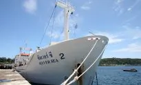 Thai Man Arrested on Boat Believed to Be Carrying Slave Fish