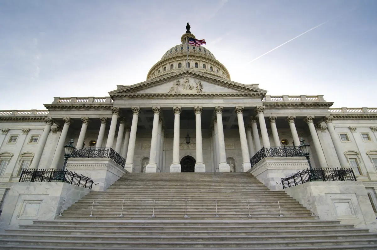 U.S. Capitol building in Washington, D.C. (Rrodrickbeiler/iStock)