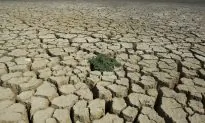 The Tropical Steam-Engine: How Does El Niño Warm the Entire Globe?