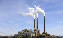 Coal Burns Cleaner When You Add Oat Hulls