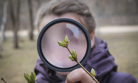 A Look at Self-Directed Learning