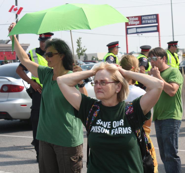 Police line up in the background as protesters gather to prevent the removal of 300 head of cattle from Frontenac Institution in Kingston on Aug. 9. The protesters claim Canada's six prison farms were closed to make way for U.S.-style privatization of t (Gord Campbell)