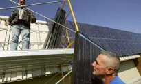 Leading Electricity Operator to Speed up Renewables Rollout