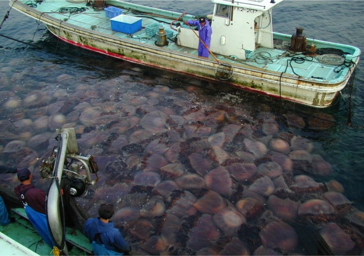 Epoch Times Photo