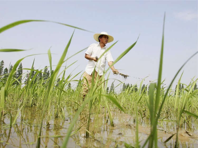 Epoch Times Photo