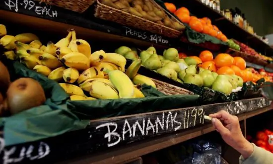 More Australian Fruit Added to China’s Import List, With Citrus Industry Welcoming the Change