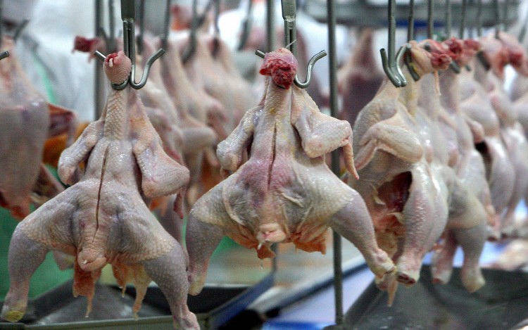 Chickens hang on a production line of a food processing plant seen here in this file photo. (SAEED KHAN/AFP/Getty Images)