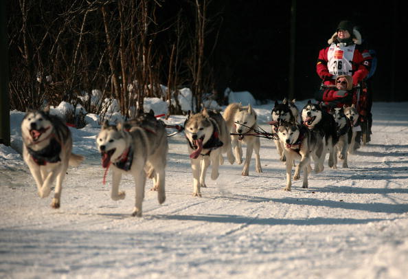 Epoch Times Photo