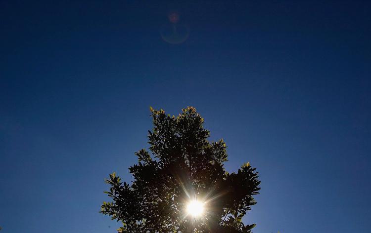 (John Pryke/Getty Images) (John Pryke/Getty Images)