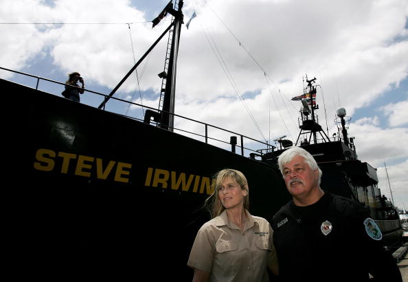 Sea Shepherd Renames Ship The "Steve Irwin" Sea Shepherd ship 'Steve Irwin'