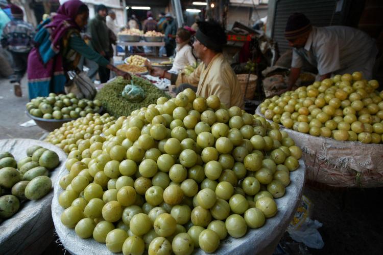 Amala fruit are mostly in demand during the winter season. Extracts from the fruit have a high vitamin C content. Amala is one of the most often used herbs in Ayurveda. (Sam Panthaky/AFP/Getty Images) Amala fruit are mostly in demand during the winter season. Extracts from the fruit have a high vitamin C content. Amala is one of the most often used herbs in Ayurveda. (Sam Panthaky/AFP/Getty Images)