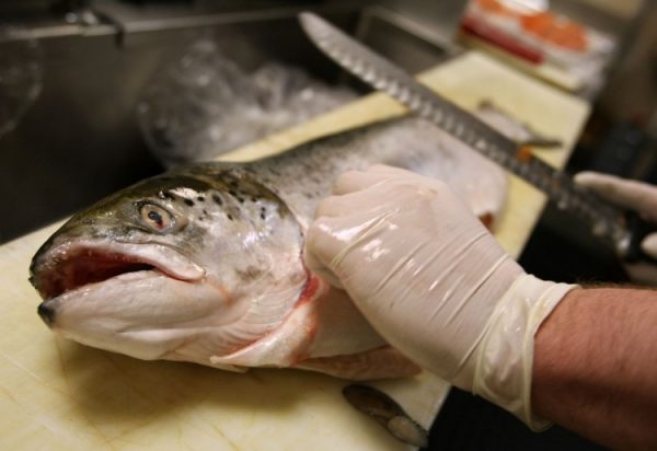 Epoch Times Photo