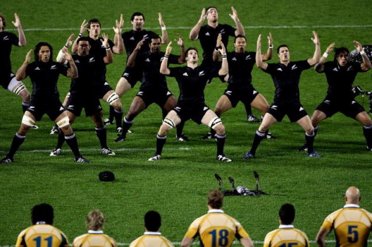 The New Zealand All Blacks perform the haka as the Australian Wallabies look on before the 2008 Tri Nations series Bledisloe Cup match at Eden Park, Auckland, New Zealand last Saturday night August 2. (Hannah Johnston/Getty Images) The New Zealand All Blacks perform the haka as the Australian Wallabies look on before the 2008 Tri Nations series Bledisloe Cup match at Eden Park, Auckland, New Zealand last Saturday night August 2. (Hannah Johnston/Getty Images)
