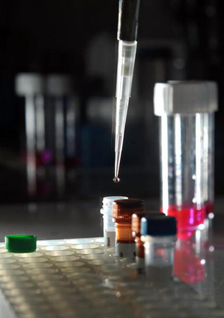 Britain's DNA database grew without proper oversight, becoming an impetus for police to make arrests in order to add samples to it, according to a new report. (Leon Neal/AFP/Getty Images) Britain's DNA database grew without proper oversight, becoming an impetus for police to make arrests in order to add samples to it, according to a new report. (Leon Neal/AFP/Getty Images)