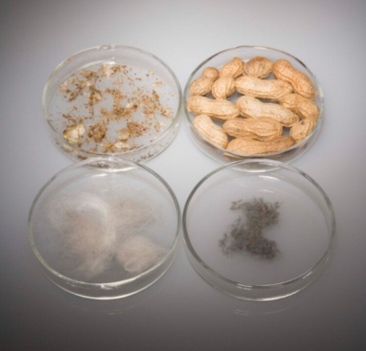 The most common childhood food allergy causes are peanuts, milk, and shellfish. (Photos.com)