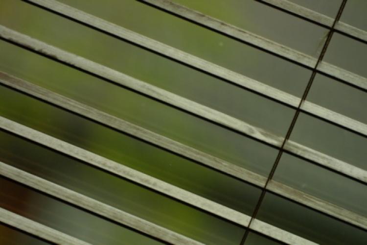 Window blinds safety is being questioned as an average of one child per month is strangled to death on a window-blind cord. (Photos.com) Window blinds safety is being questioned as an average of one child per month is strangled to death on a window-blind cord. (Photos.com)