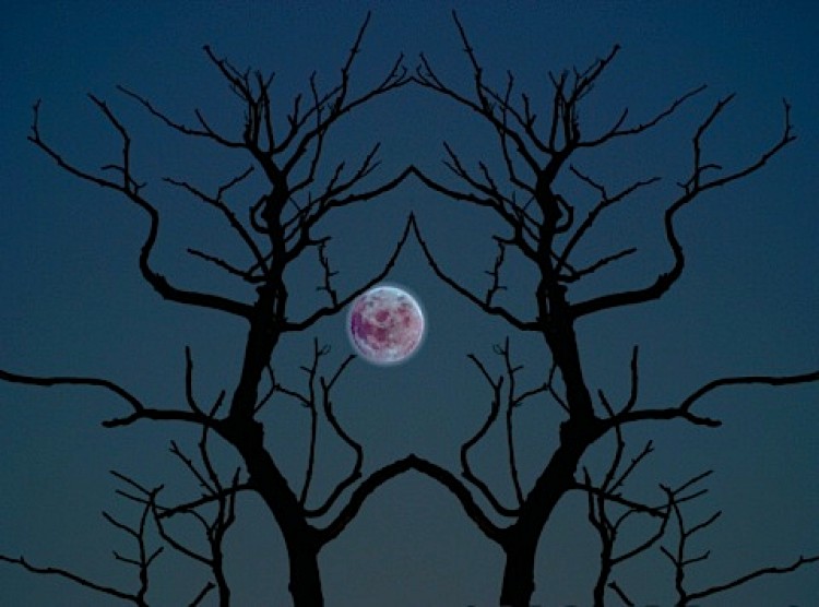 The shorter delay between sunset and moonrise during the harvest moon has allowed farmers more light by which to harvest their autumn crops. (Photos.com) The shorter delay between sunset and moonrise during the harvest moon has allowed farmers more light by which to harvest their autumn crops. (Photos.com)