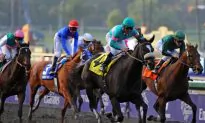 2 More Horses Die After Injuries at Santa Anita Park