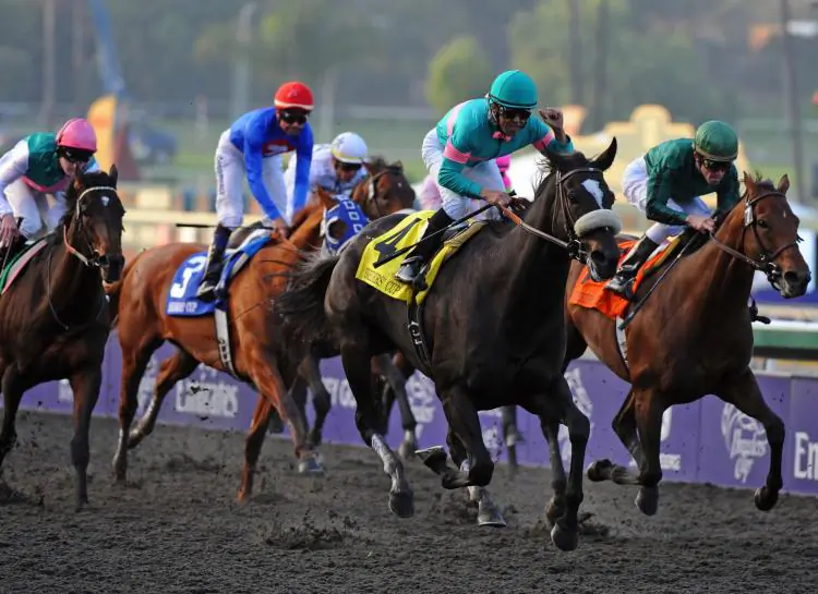 Jockey Mike Smith (2nd R) celebrates winning the Breeders' Cup Classic race on Zenyatta at the Santa Anita racetrack in Arcadia, California on Nov. 7, 2009. (Mark Ralston/AFP/Getty Images)