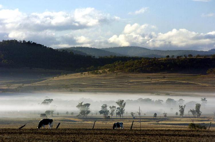 A property near Toowoomba, west of Brisbane. The best quality coal in Australia coincides in many places with the best farmland. (Heather Faulkner/AFP/Getty Images) A property near Toowoomba, west of Brisbane. The best quality coal in Australia coincides in many places with the best farmland. (Heather Faulkner/AFP/Getty Images)