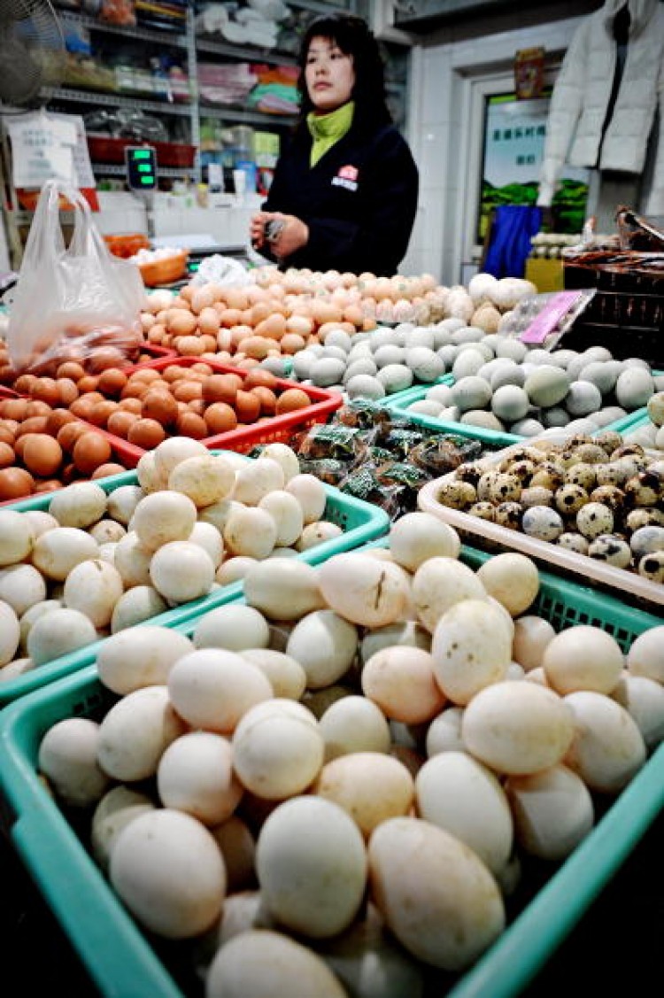 A vendor selling eggs waits for customers at a wet market in Shanghai on March 9, 2010. (Philippe Lopez/AFP/Getty Images) A vendor selling eggs waits for customers at a wet market in Shanghai on March 9, 2010. (Philippe Lopez/AFP/Getty Images)