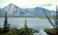 Trump Admin Reopens Alaska Wildlife Refuge for Oil, Gas Leasing