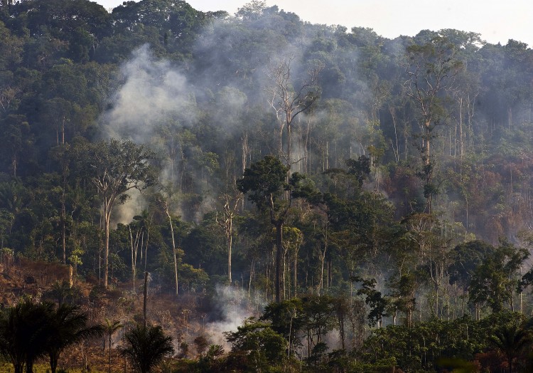 Trees of the Amazon rain forest burn in northern Brazil to clear land for cattle raising. New research on the savannas of French Guiana has discovered indigenous people farmed the area for hundreds of years without using fire. (Antonio Scorza/AFP/Getty Images) Trees of the Amazon rain forest burn in northern Brazil to clear land for cattle raising. New research on the savannas of French Guiana has discovered indigenous people farmed the area for hundreds of years without using fire. (Antonio Scorza/AFP/Getty Images)