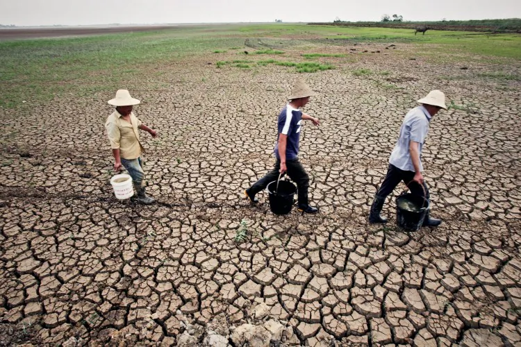 Wuhan is suffering from the worst drought in 60 years. (From a source inside China)