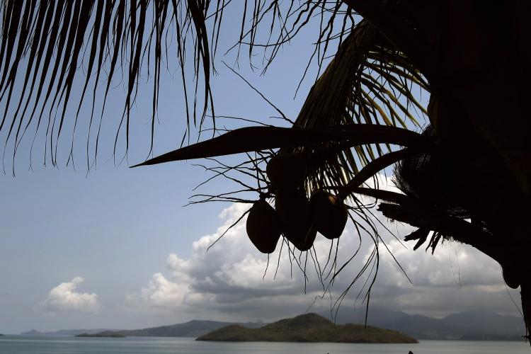 COCONUT CURE: One acne treatment is coconut oil. (Oel Saget/AFP/Getty Images) COCONUT CURE: One acne treatment is coconut oil. (Oel Saget/AFP/Getty Images)