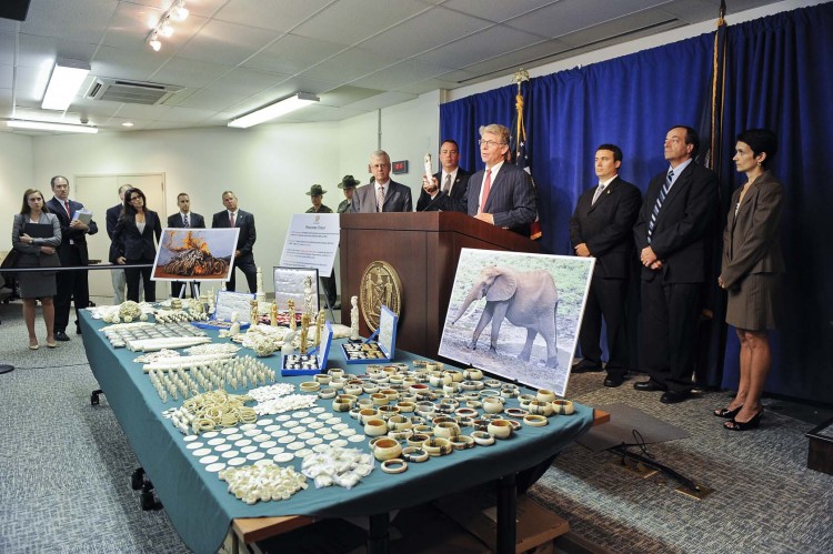 Manhattan District Attorney Cyrus Vance Jr. speaks at a press conference on July 12 in front of confiscated trinkets and jewelry made out of ivory that were being illegally sold in Manhattan Manhattan District Attorney Cyrus Vance Jr. speaks at a press conference on July 12 in front of confiscated trinkets and jewelry made out of ivory that were being illegally sold in Manhattan