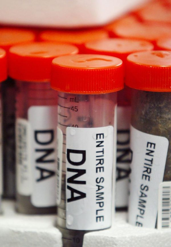 California authorities are defending a law that requires police to collect DNA samples of all convicted felons.