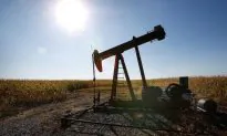 The Anthropogenic Global Warming Hypothesis and the Causality Principle