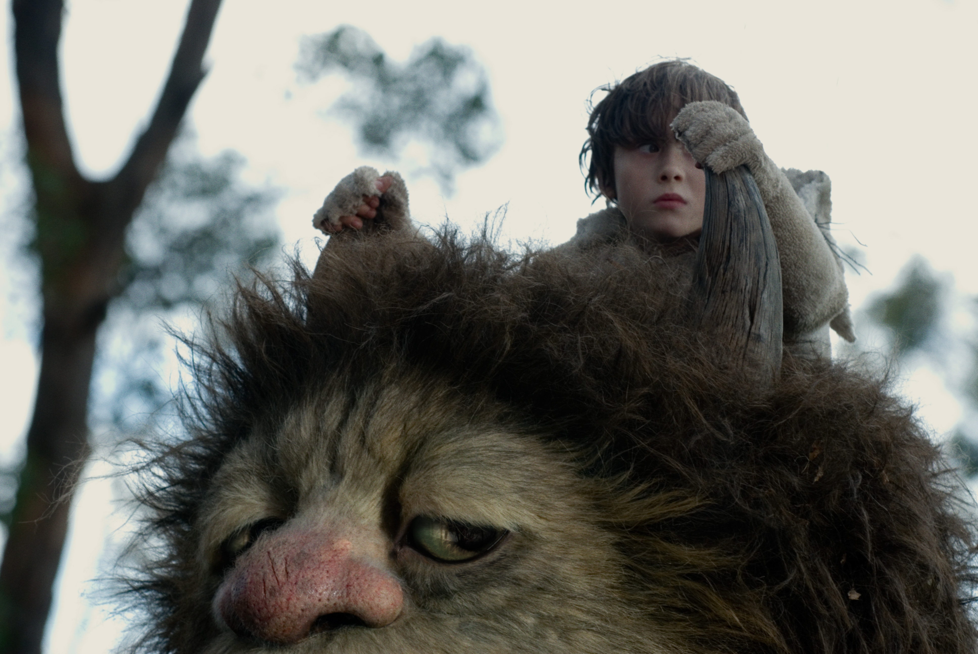 Max Records and one of the Wild Things find childhood can be tough in this loose adaptation of 'Where the Wild Things Are' (Warner Bros.)
