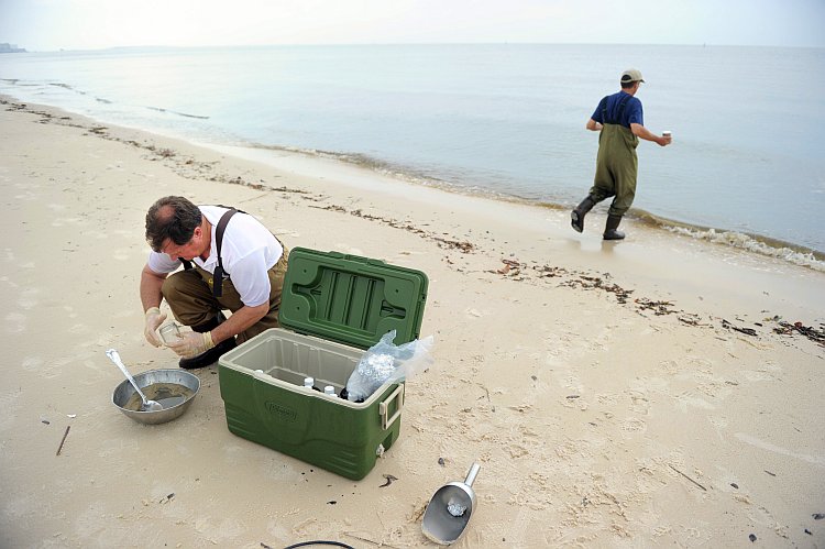 Environmental Protection Agency (EPA)