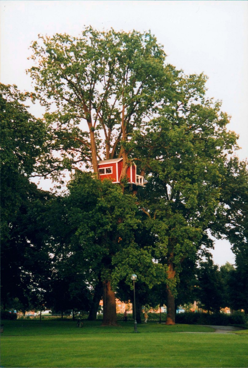 Hackspett_sommarbild Epoch Times Photo