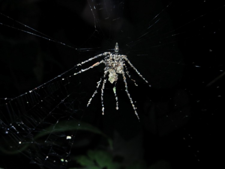 Epoch Times Photo