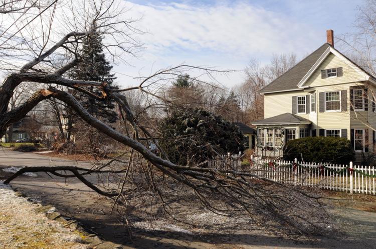 ICE STORM: A felled tree blocks Fairview Avenue Dec. 14, 2008 in Derry, New Hampshire. An ice storm on Dec. 12 knocked out power to 1.4 million people in upstate New York, Massachusetts, New Hampshire and Maine and President George W. Bush declared a stat (Darren McCollester/Getty Images) ICE STORM: A felled tree blocks Fairview Avenue Dec. 14, 2008 in Derry, New Hampshire. An ice storm on Dec. 12 knocked out power to 1.4 million people in upstate New York, Massachusetts, New Hampshire and Maine and President George W. Bush declared a stat (Darren McCollester/Getty Images)