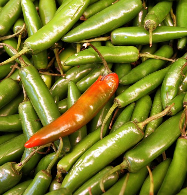 FDA Finds Salmonella in Jalapenos