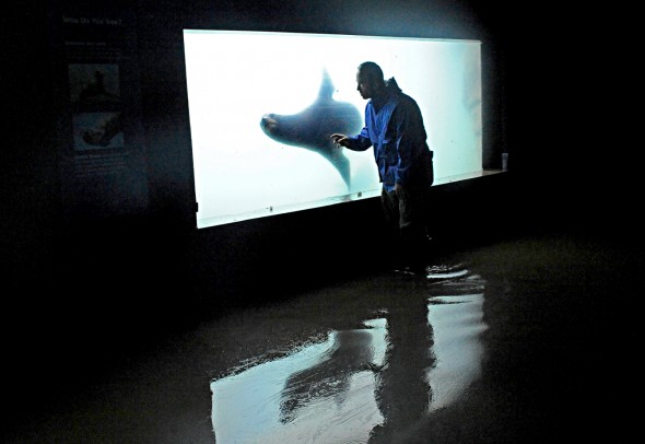 Epoch Times Photo